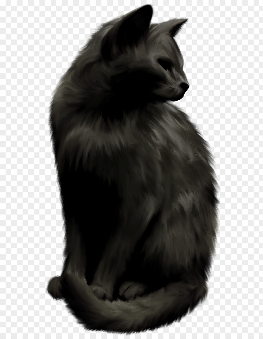 Norwegian Forest Cat Nebelung Whiskers Black Domestic Short-haired PNG