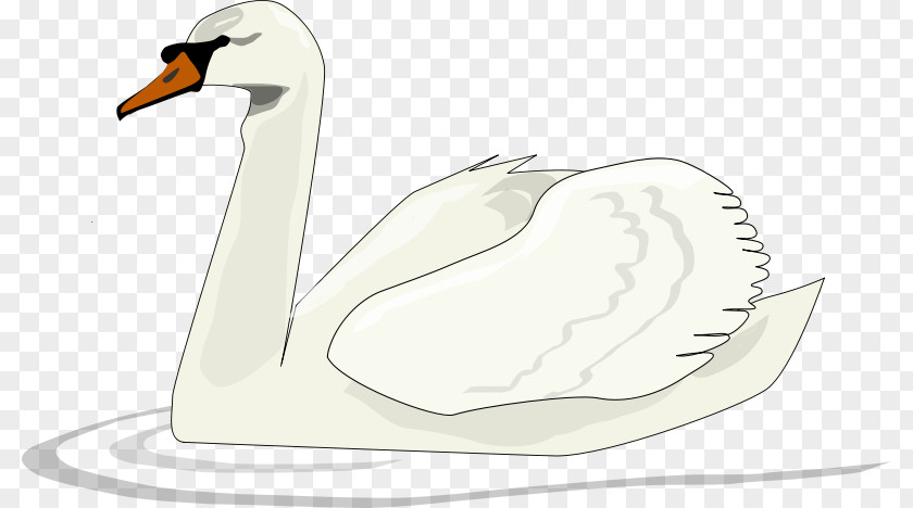 White Goose Black Swan Bird Clip Art PNG
