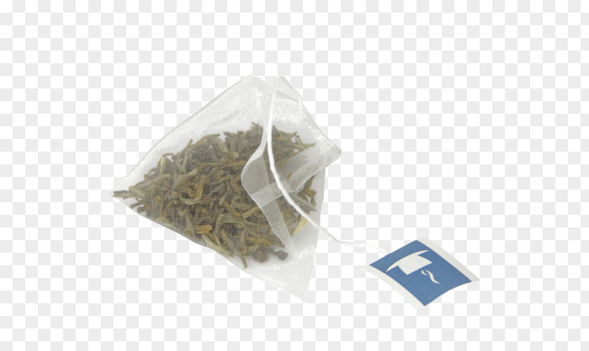 Camellia Sinensis Leaf Earl Grey Tea Plastic Plant PNG