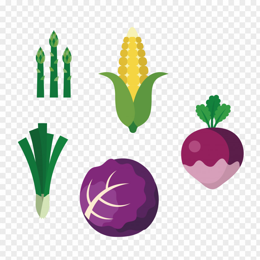 Cartoon Vegetables Chili Con Carne Onion Fruit Vegetable Garlic PNG