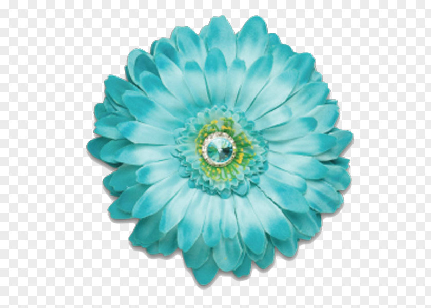 Gerbera Flower Blue Aqua Color Teal PNG