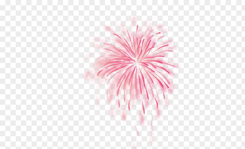 Pink Background Fireworks Computer Software Clip Art PNG