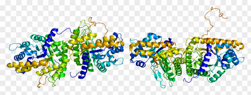 Aldolase B Fructose-bisphosphate Fructose 1,6-bisphosphate A Enzyme PNG