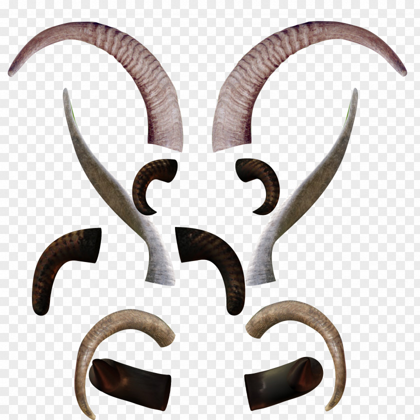 Angle Of Various Animals Goat Horn Ox PNG