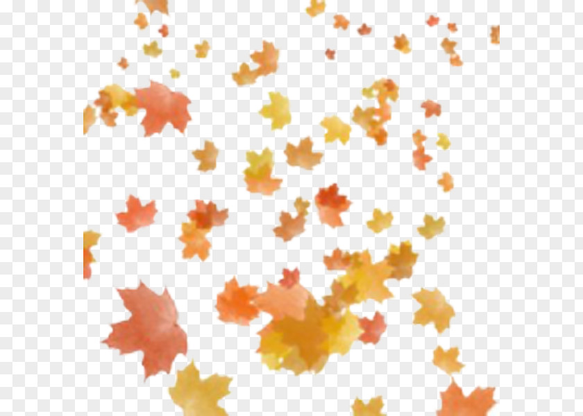 Autumn Clip Art Leaf Color PNG