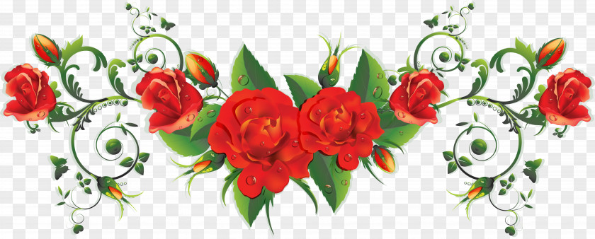 Beautiful Rose Decoration Wish Morning Quotation Good PNG