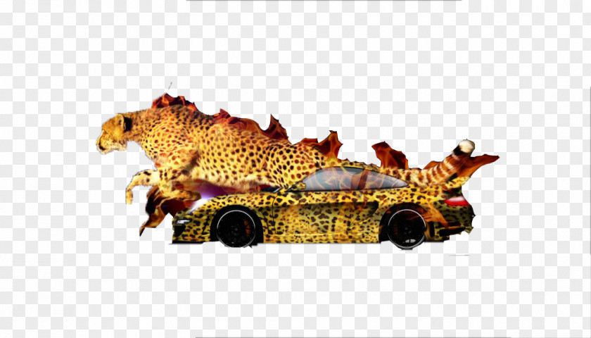 Cool Leopard Wildlife PNG