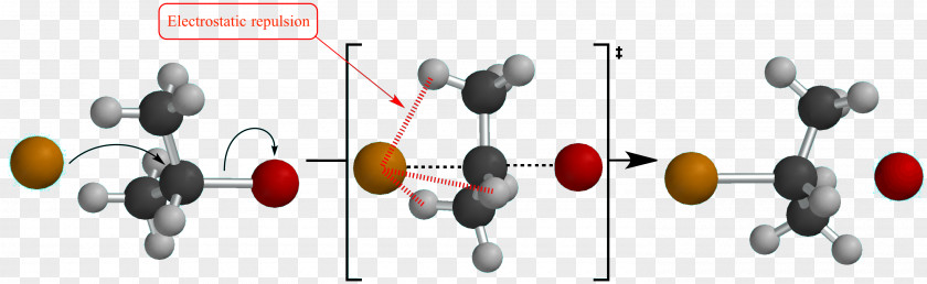 DNA Electrostatics Hydrogen Bond Van Der Waals Force Organic Chemistry PNG