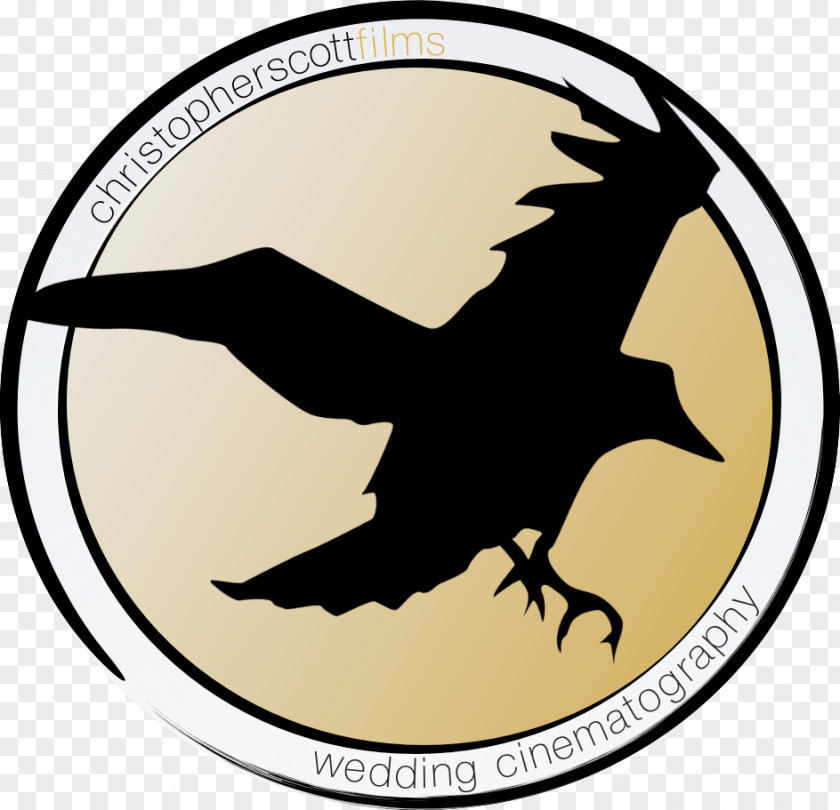 Silhouette Beak Bordskåner Drink Clip Art PNG