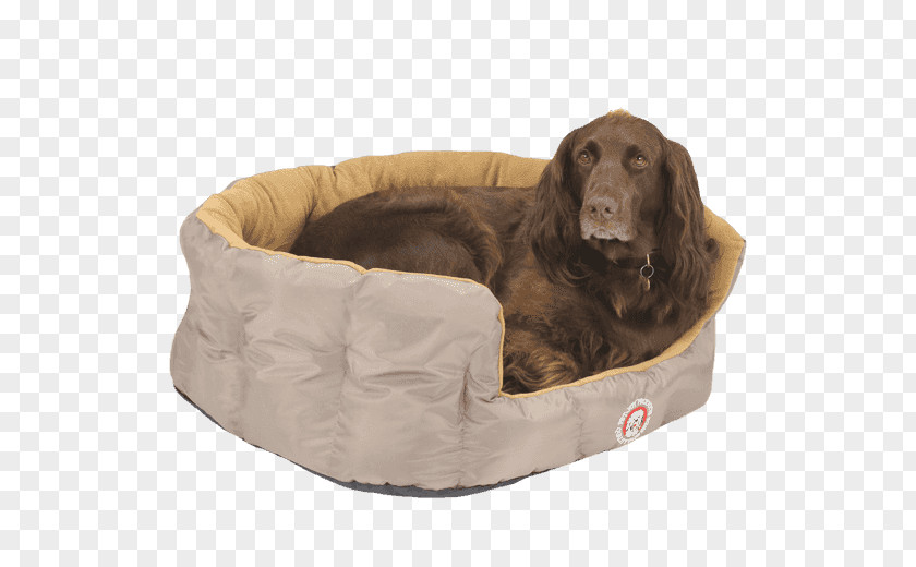 Dog Breed Sporting Group Companion Bread Pan PNG