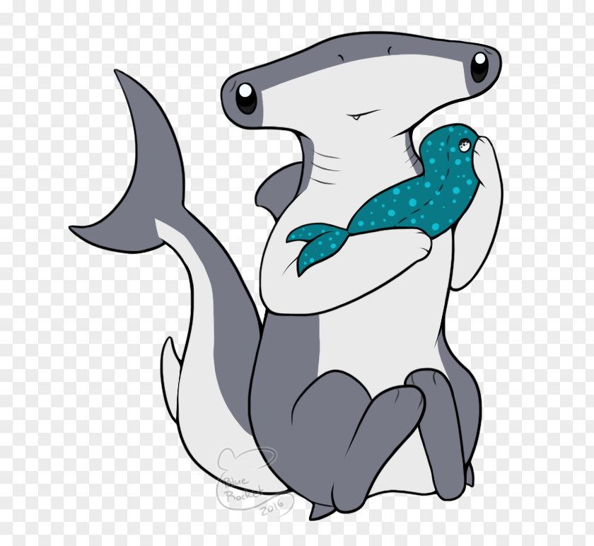 Dolphin Porpoise Shark Cetacea Clip Art PNG