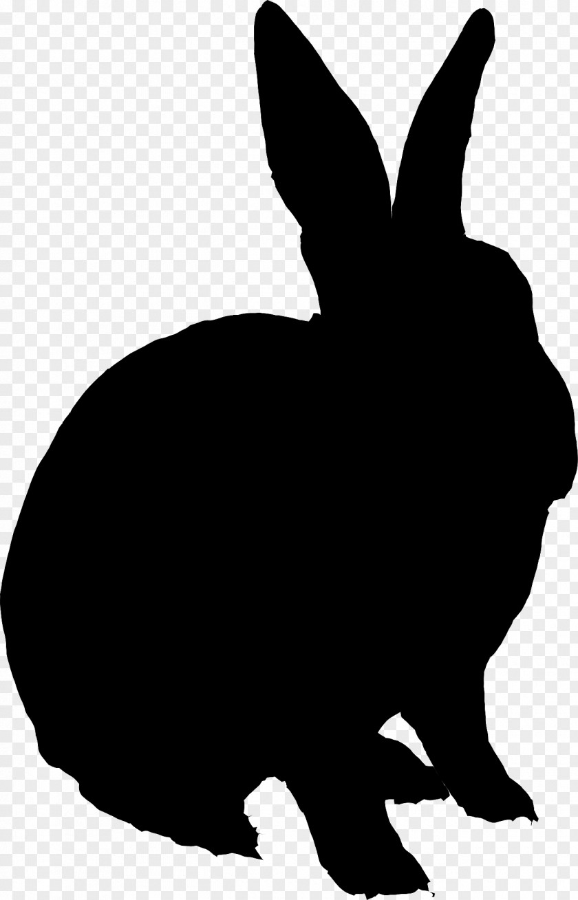 Domestic Rabbit Foeke Sjoerdswei Hare Personal Trainer Location PNG