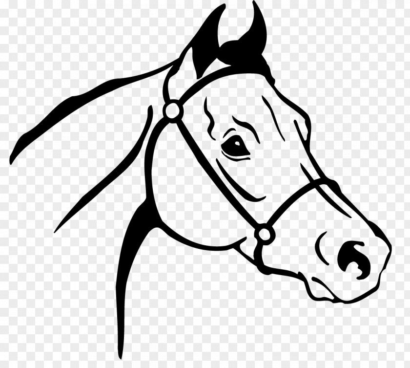 Horsehead Arabian Horse Thoroughbred Drawing Clip Art PNG