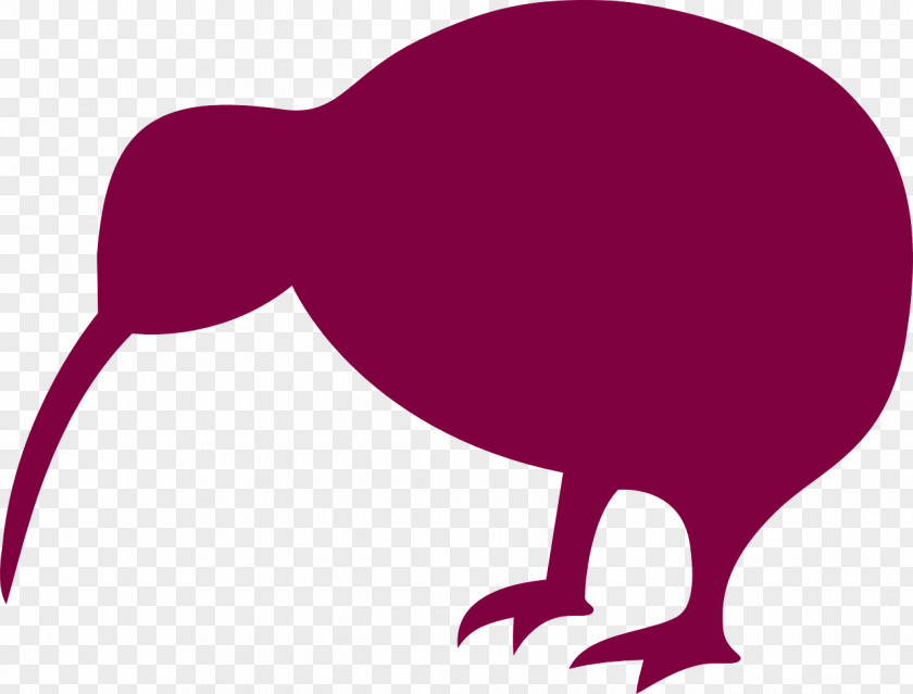 Kiwi New Zealand Bird Silhouette Clip Art PNG