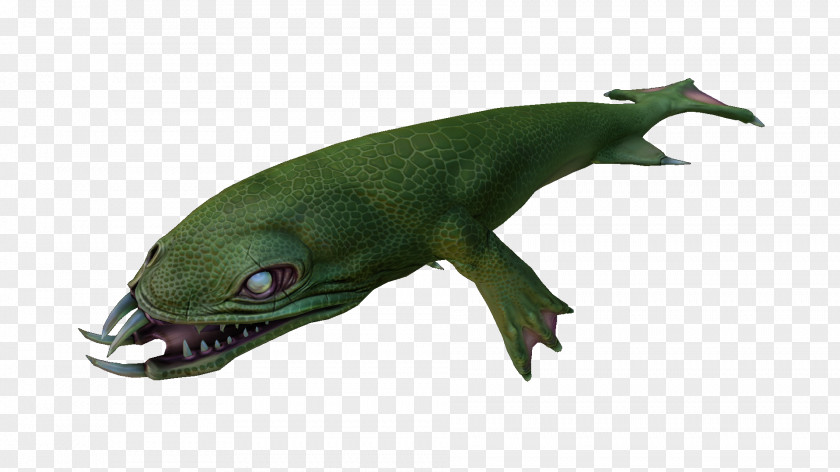 Lizard Subnautica Reptile Microlophus Albemarlensis Lava PNG