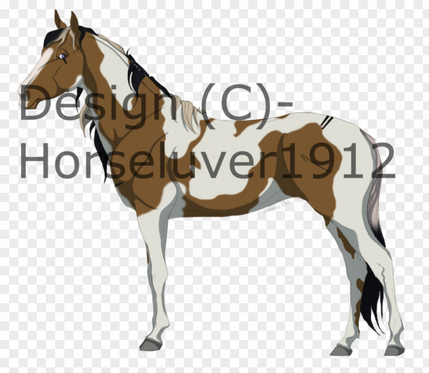 Mustang Mule Bridle Foal Stallion Mare PNG