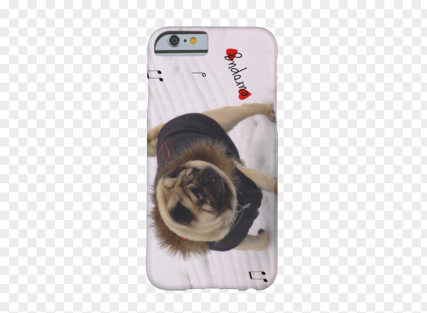 Puppy Pug IPhone 6 5s Snout PNG