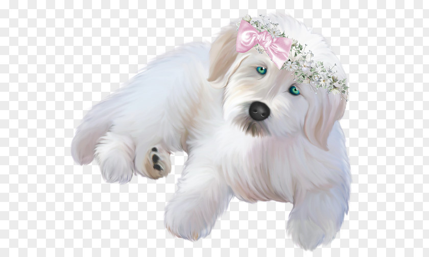 White Puppy With Pink Ribbon Clipart Chihuahua Dachshund Black & Pet PNG