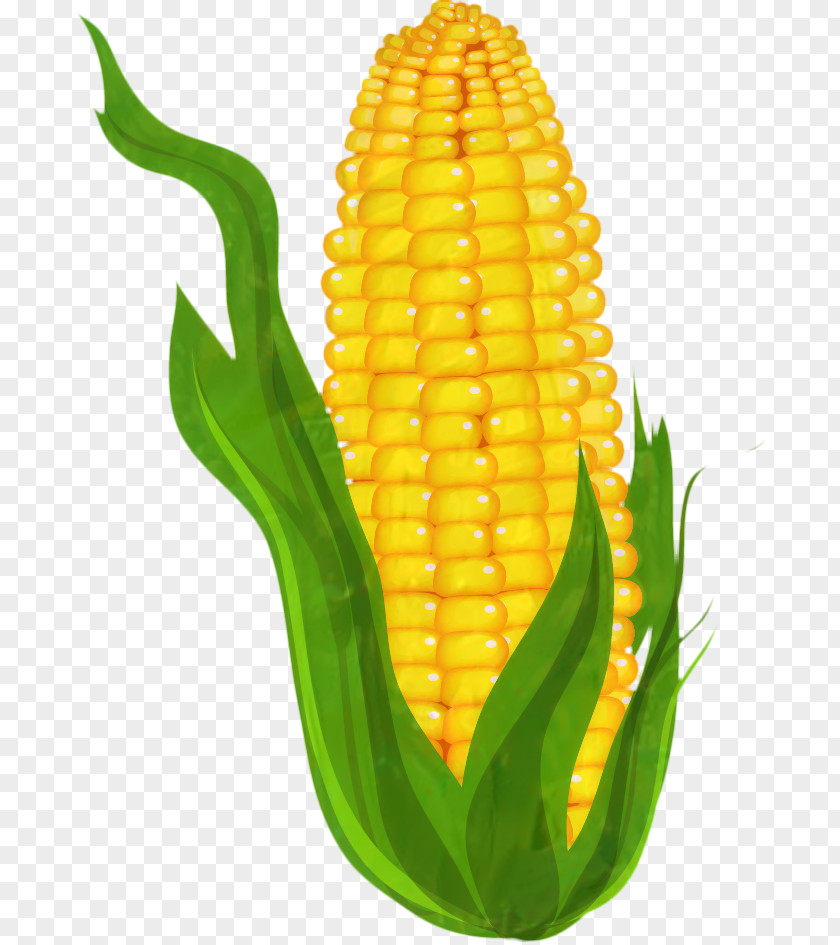 Clip Art Corn On The Cob Watercolor Painting PNG