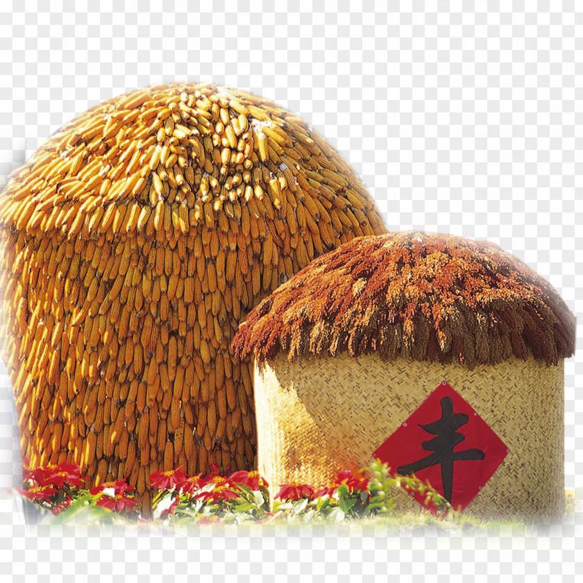 Corn Crib Agriculture Harvest Crop Rice PNG