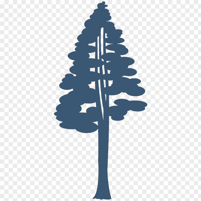 Department Of Forestry Coast Redwood Giant Sequoia Drawing Silhouette Clip Art PNG