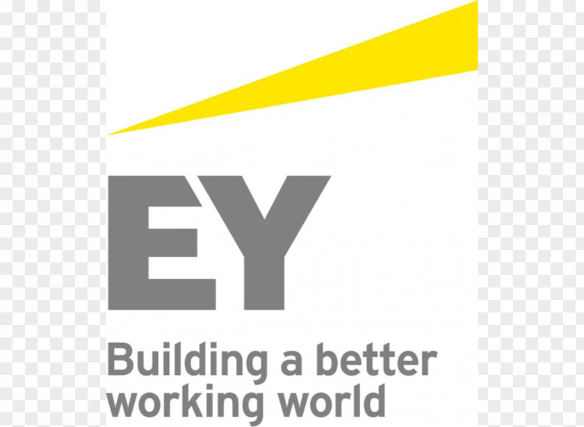 Business Ernst & Young Finance Audit Financial Adviser PNG