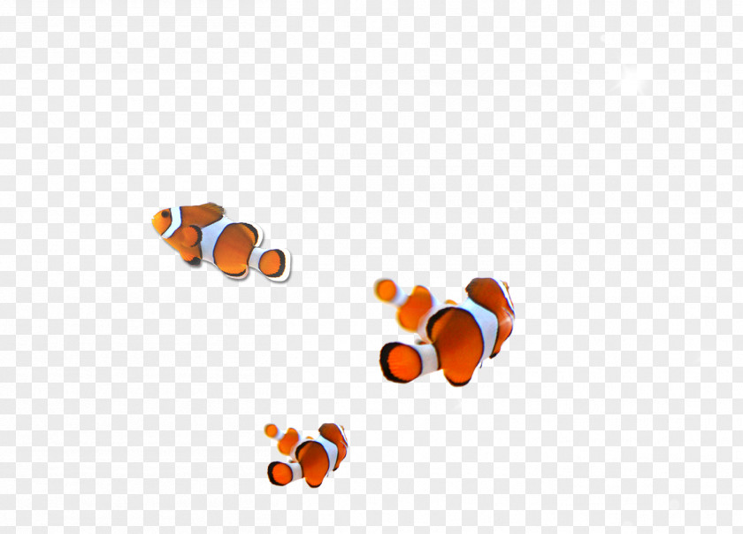 Fish Cartoon Computer Pattern PNG