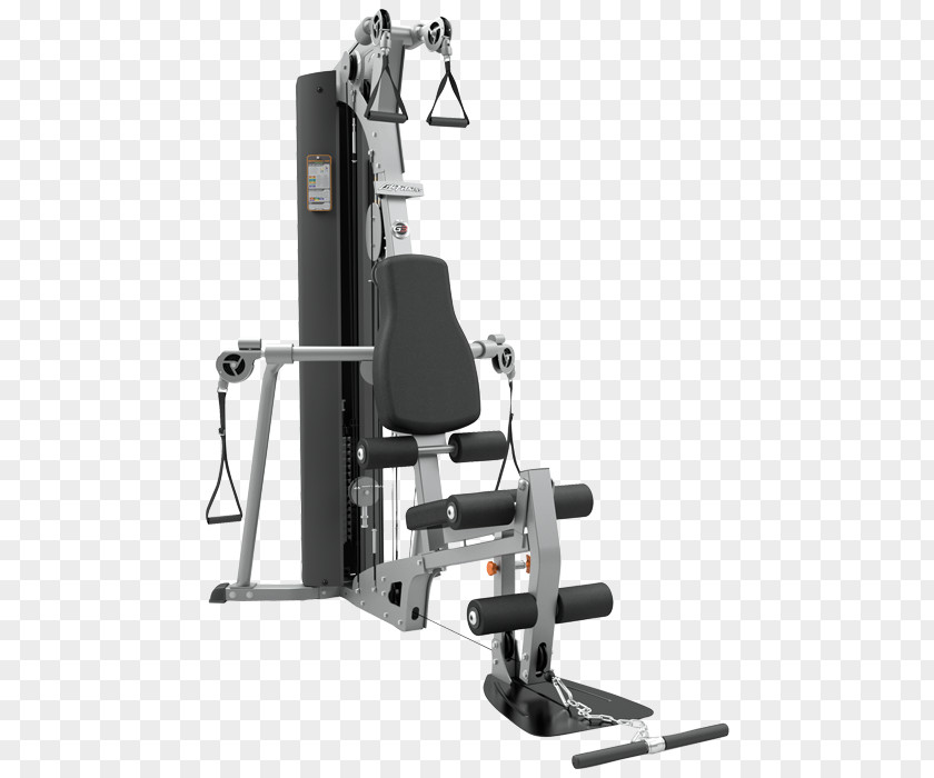 Gym Fitness Life Centre Exercise Equipment Functional Training PNG