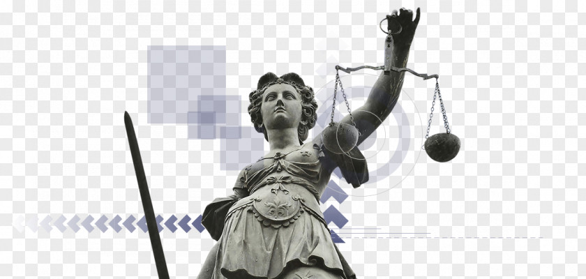 Lawyer Lady Justice PNG