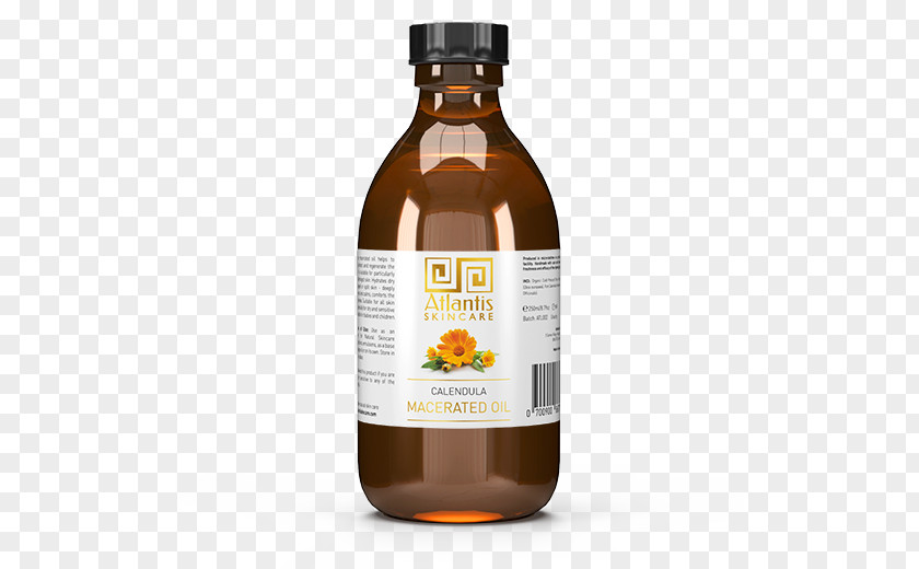 Oil Sea Buckthorn List Of Macerated Oils Infusion Buckthorns PNG