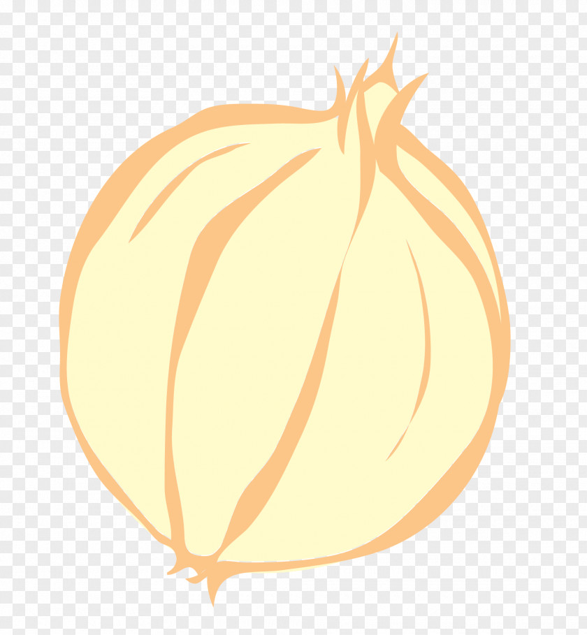 Pumpkin Calabaza Winter Squash Illustration PNG