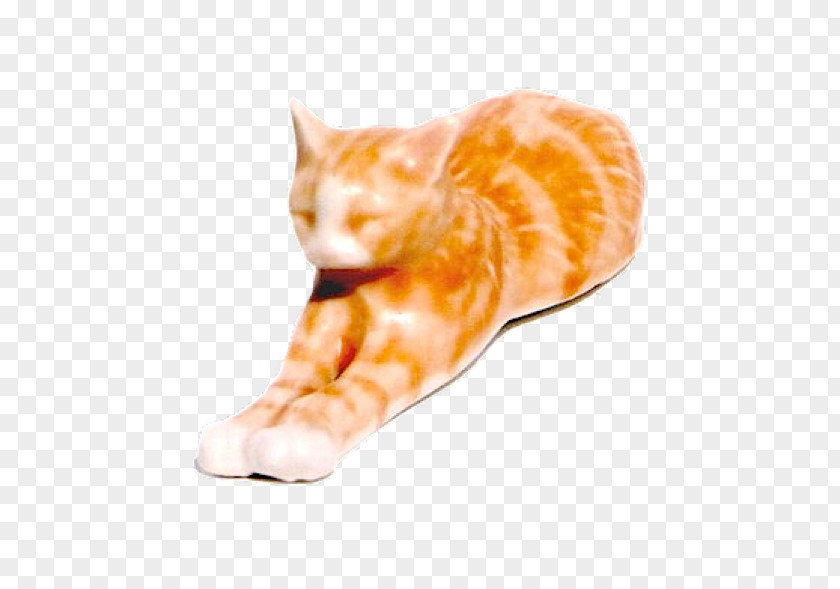 Stretching Cat Tonk Whiskers Animal Brandy PNG