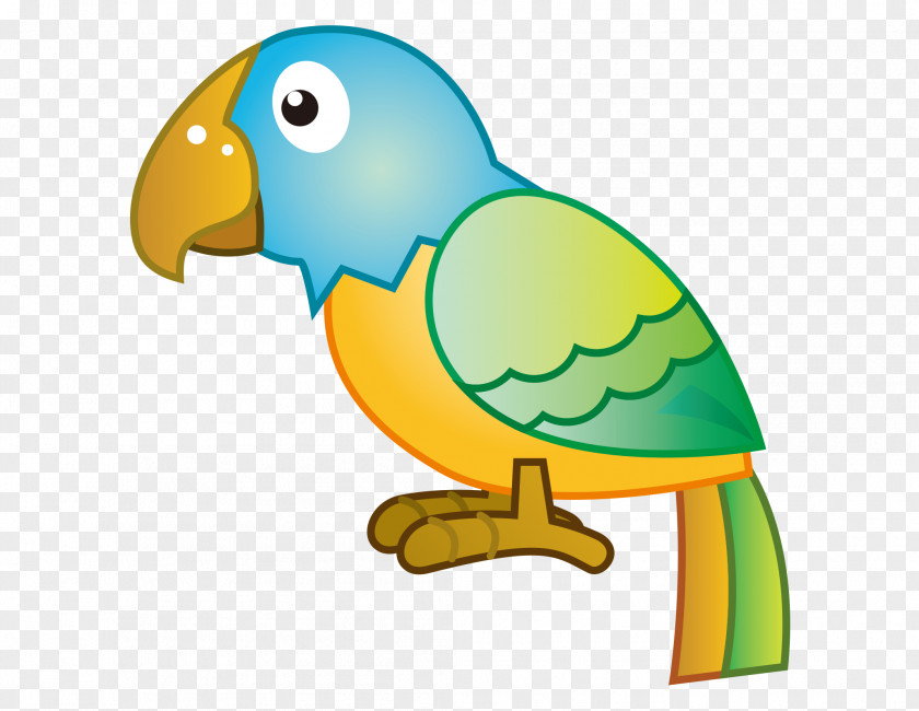 Vector Cartoon Hand Painted Beautiful Standing Parrot Lovebird Macaw Clip Art PNG