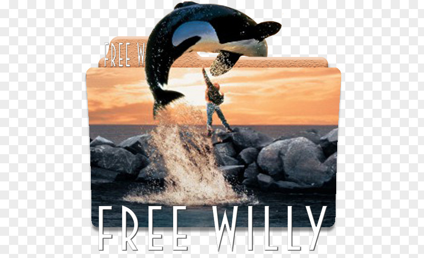 Willy Oregon Film Museum Free Killer Whale DVD PNG