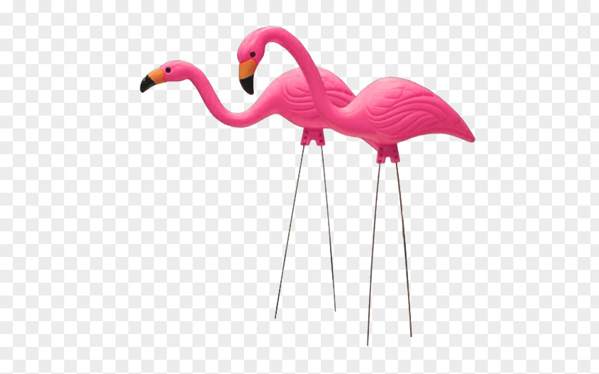 Beak Animal Figure Pink Flamingo PNG