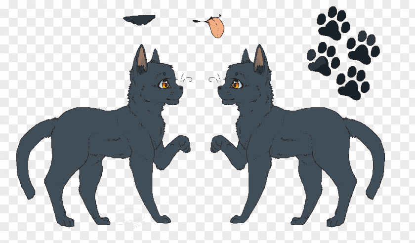 Cat Tabby Warriors Pony Paw PNG