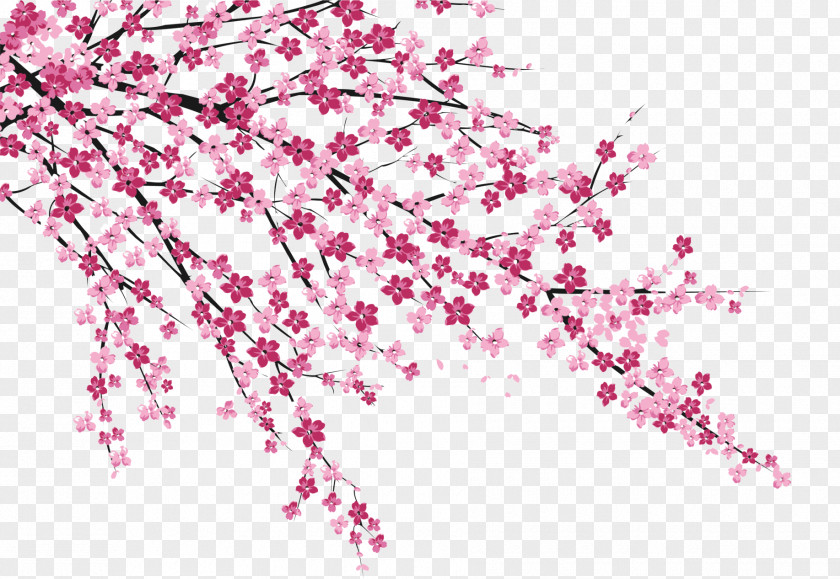 Cherry Blossoms Blossom Sakura No Hanabiratachi Wall Painting PNG