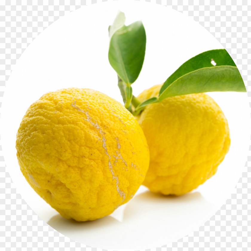 Citron Citrus Junos Juice Fruit Pomelo PNG