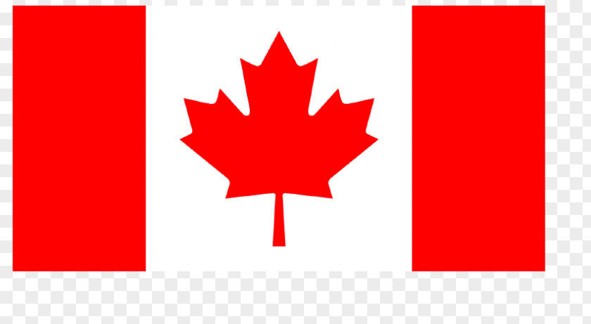 Flag Of Canada National Desktop Wallpaper Paint It Like New! Inc. PNG