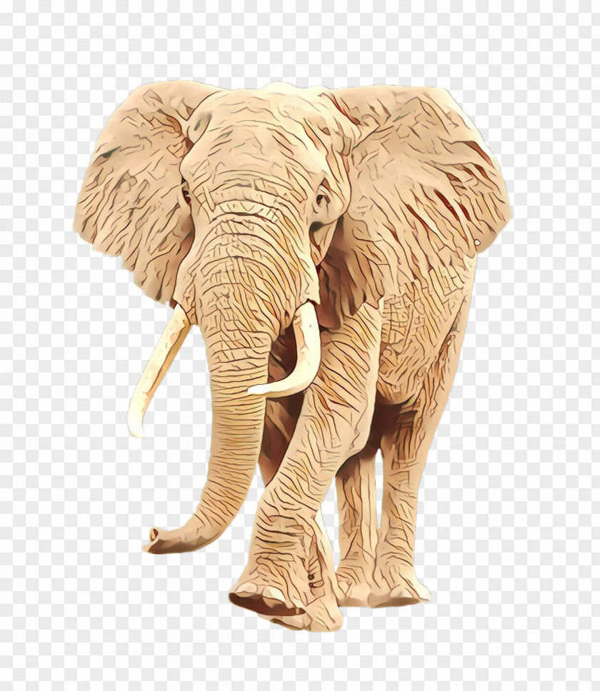 Indian Elephant PNG