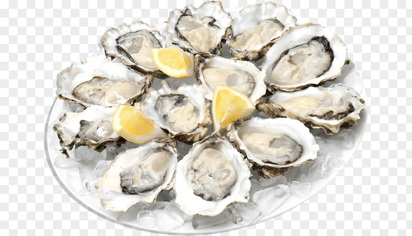Oysters PNG Oysters, seafood dish clipart PNG