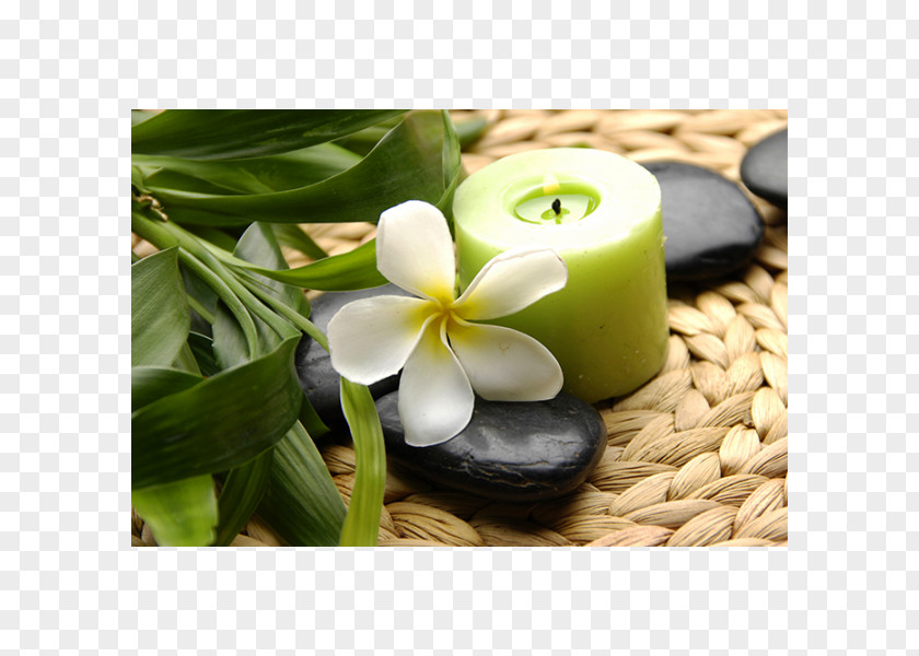Shine SPA Massage Beauty Parlour Cosmetology PNG