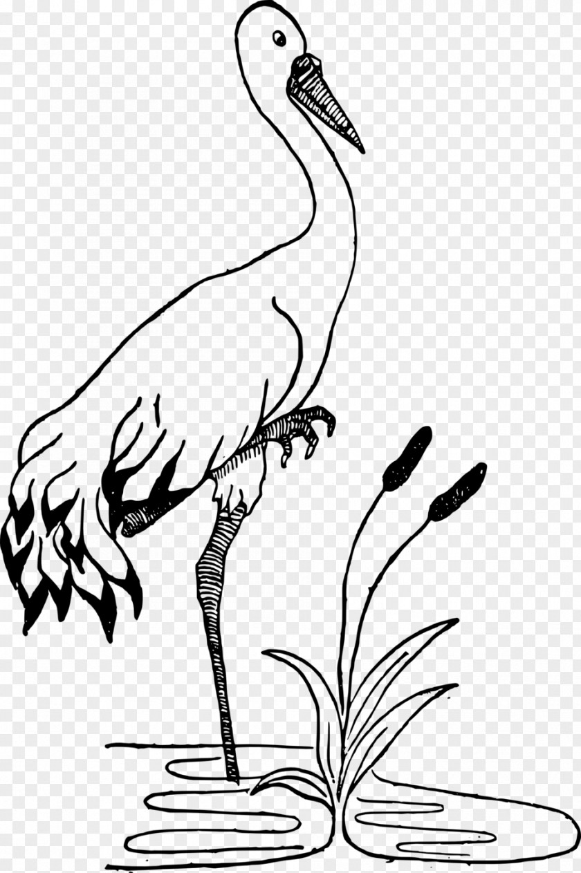 Stork Crane Black And White Drawing Clip Art PNG
