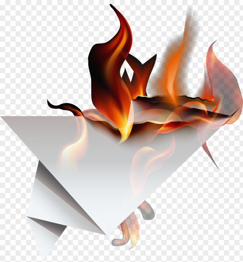 Burn Paper Fire PNG