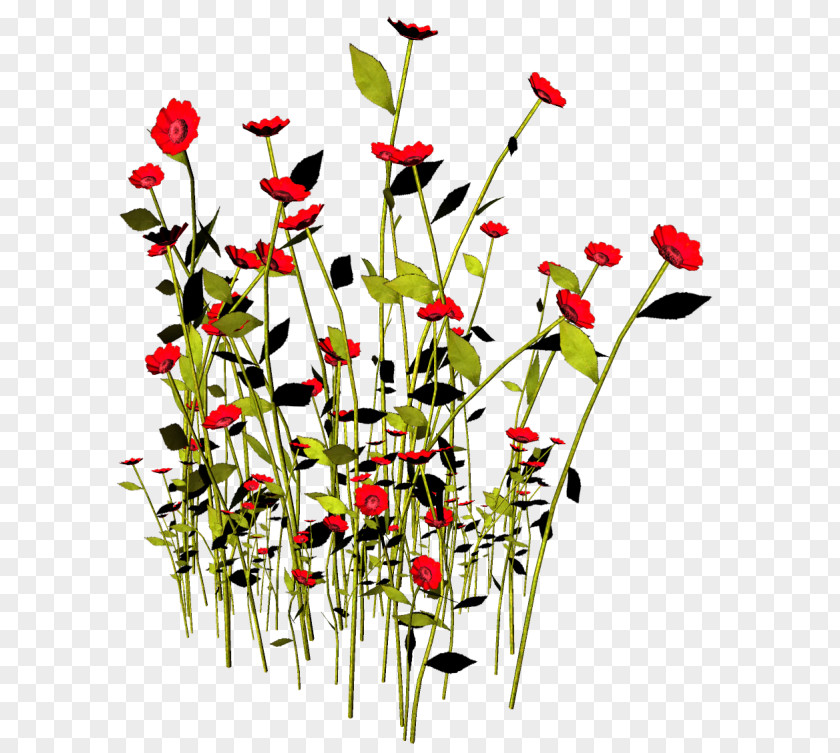 Flower Digital Image Clip Art PNG