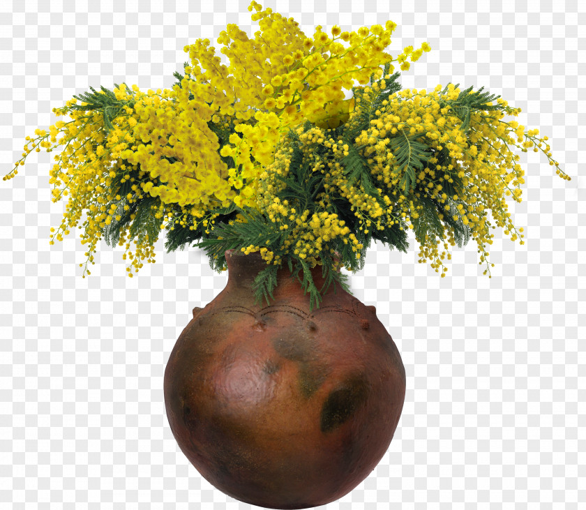 Mimosa Salad Flower PNG
