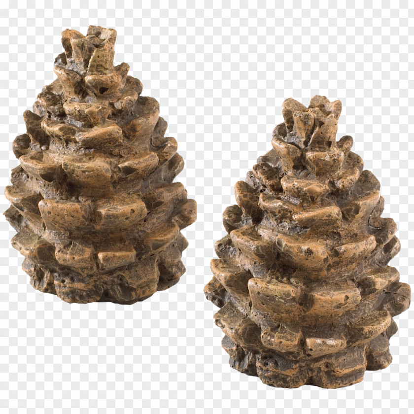 Pine Cone Natural Gas Flame Fire Glass Fireplace PNG