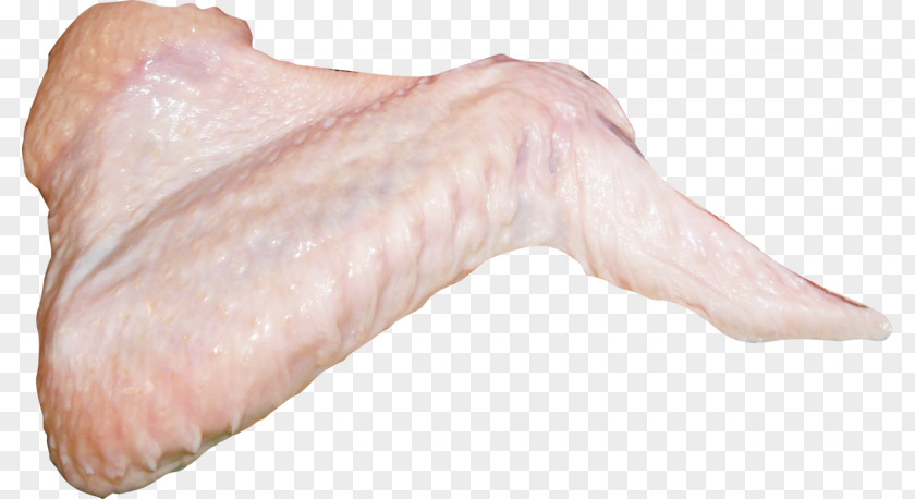 Raw Chicken Fish Turkey Meat As Food PNG