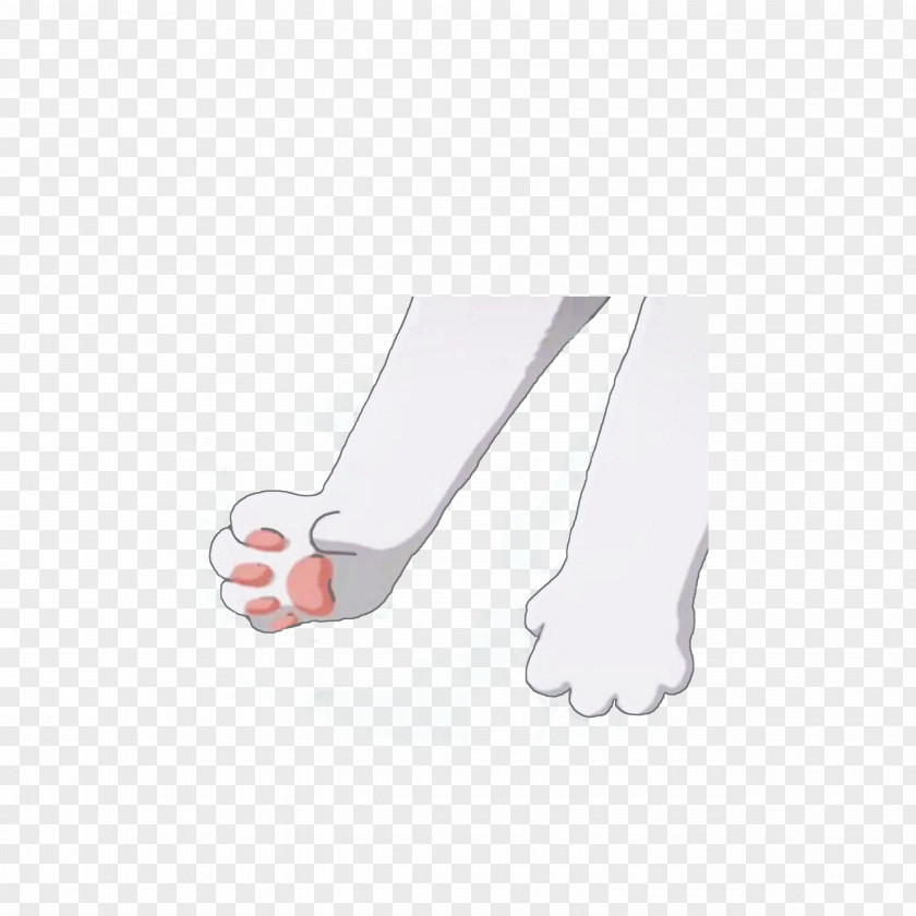 A Clawed Cat's Claw Cat Tiger Paw PNG
