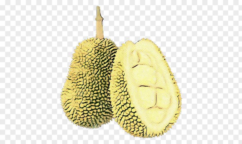 Cempedak Artocarpus Fruit Cartoon PNG
